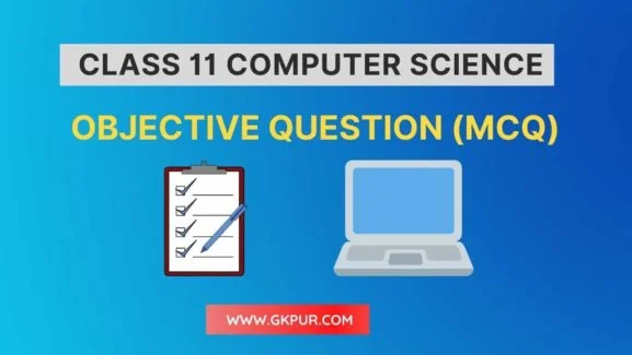 Class 11 Computer Science MCQ (Objective Question)